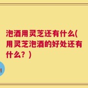 泡酒用灵芝还有什么(用灵芝泡酒的好处还有什么？)