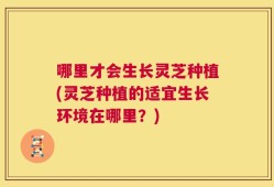 哪里才会生长灵芝种植(灵芝种植的适宜生长环境在哪里？)