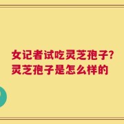 女记者试吃灵芝孢子？灵芝孢子是怎么样的