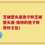 芝破壁头道孢子粉芝破壁头道-独特的孢子粉奇妙之处)