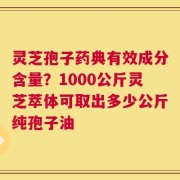 灵芝孢子药典有效成分含量？1000公斤灵芝萃体可取出多少公斤纯孢子油