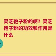 灵芝孢子粉的啊？灵芝孢子粉的功效和作用是什么