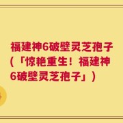 福建神6破壁灵芝孢子(「惊艳重生！福建神6破壁灵芝孢子」)