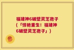福建神6破壁灵芝孢子(「惊艳重生！福建神6破壁灵芝孢子」)