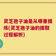 灵芝孢子油是从哪里提炼(灵芝孢子油的提取过程解析)