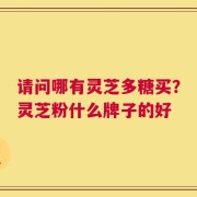 请问哪有灵芝多糖买？灵芝粉什么牌子的好