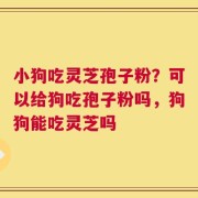 小狗吃灵芝孢子粉？可以给狗吃孢子粉吗，狗狗能吃灵芝吗