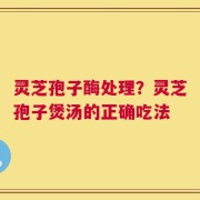 灵芝孢子酶处理？灵芝孢子煲汤的正确吃法