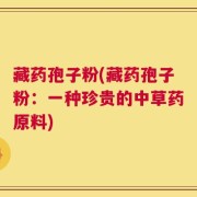 藏药孢子粉(藏药孢子粉：一种珍贵的中草药原料)
