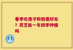 春季吃孢子粉胶囊好处？灵芝能一年四季种植吗