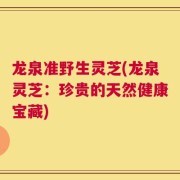 龙泉准野生灵芝(龙泉灵芝：珍贵的天然健康宝藏)