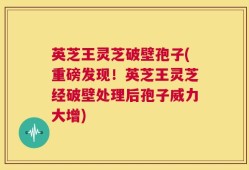 英芝王灵芝破壁孢子(重磅发现！英芝王灵芝经破壁处理后孢子威力大增)
