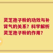 灵芝孢子粉的功效与补肾气的关系？科学解析灵芝孢子粉的作用？