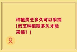种植灵芝多久可以采摘(灵芝种植期多久才能采摘？)