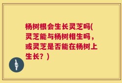 杨树根会生长灵芝吗(灵芝能与杨树相生吗，或灵芝是否能在杨树上生长？)