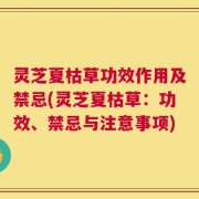 灵芝夏枯草功效作用及禁忌(灵芝夏枯草：功效、禁忌与注意事项)