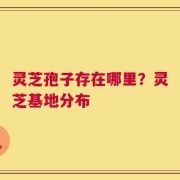 灵芝孢子存在哪里？灵芝基地分布