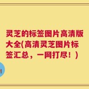 灵芝的标签图片高清版大全(高清灵芝图片标签汇总，一网打尽！)