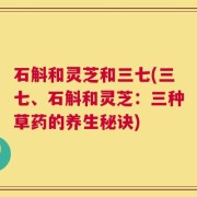 石斛和灵芝和三七(三七、石斛和灵芝：三种草药的养生秘诀)