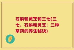 石斛和灵芝和三七(三七、石斛和灵芝：三种草药的养生秘诀)