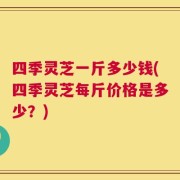 四季灵芝一斤多少钱(四季灵芝每斤价格是多少？)