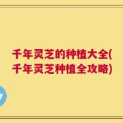 千年灵芝的种植大全(千年灵芝种植全攻略)
