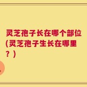 灵芝孢子长在哪个部位(灵芝孢子生长在哪里？)