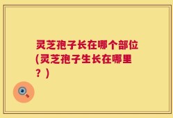 灵芝孢子长在哪个部位(灵芝孢子生长在哪里？)