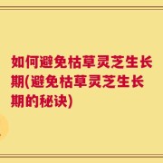 如何避免枯草灵芝生长期(避免枯草灵芝生长期的秘诀)