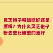 灵芝袍子粉破壁好还是原粉？为什么灵芝孢子粉去壁比破壁的更好