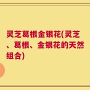 灵芝葛根金银花(灵芝、葛根、金银花的天然组合)