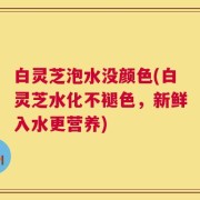 白灵芝泡水没颜色(白灵芝水化不褪色，新鲜入水更营养)