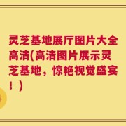 灵芝基地展厅图片大全高清(高清图片展示灵芝基地，惊艳视觉盛宴！)