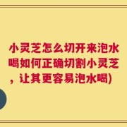小灵芝怎么切开来泡水喝如何正确切割小灵芝，让其更容易泡水喝)