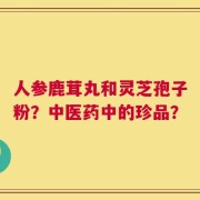人参鹿茸丸和灵芝孢子粉？中医药中的珍品？