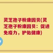 灵芝孢子粉康因贝(灵芝孢子粉康因贝：促进免疫力，护佑健康)