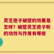 灵芝孢子破壁的效果是怎样？破壁灵芝孢子粉的功效与作用有哪些