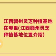 江西赣州灵芝种植基地在哪里(江西赣州灵芝种植基地位置介绍)