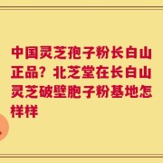 中国灵芝孢子粉长白山正品？北芝堂在长白山灵芝破壁胞子粉基地怎样样
