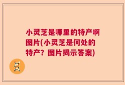 小灵芝是哪里的特产啊图片(小灵芝是何处的特产？图片揭示答案)