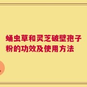 蛹虫草和灵芝破壁孢子粉的功效及使用方法