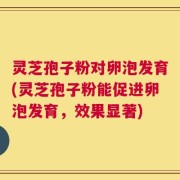 灵芝孢子粉对卵泡发育(灵芝孢子粉能促进卵泡发育，效果显著)