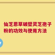 仙芝恩草破壁灵芝孢子粉的功效与使用方法