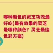 哪种颜色的灵芝功效最好吃(最有效果的灵芝是哪种颜色？灵芝最佳色彩方案)