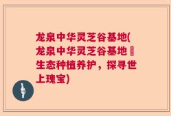 龙泉中华灵芝谷基地(龙泉中华灵芝谷基地–生态种植养护，探寻世上瑰宝)