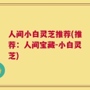 人间小白灵芝推荐(推荐：人间宝藏-小白灵芝)