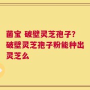 菌宝 破壁灵芝孢子？破壁灵芝孢子粉能种出灵芝么