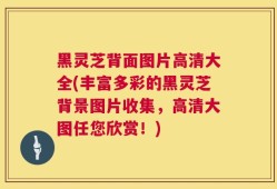 黑灵芝背面图片高清大全(丰富多彩的黑灵芝背景图片收集，高清大图任您欣赏！)