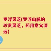 罗浮灵芝(罗浮山脉的珍贵灵芝，药用意义深远)