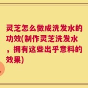 灵芝怎么做成洗发水的功效(制作灵芝洗发水，拥有这些出乎意料的效果)
